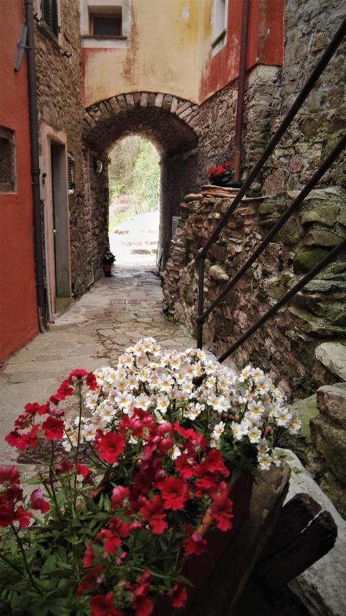 Borgo Di Codeglia - Country Rooms Riccò del Golfo di Spezia Exterior photo